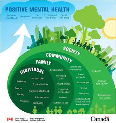 Advancing socioecological mental health promotion intervention: A mixed methods exploration of Phase 1 Agenda Gap findings
